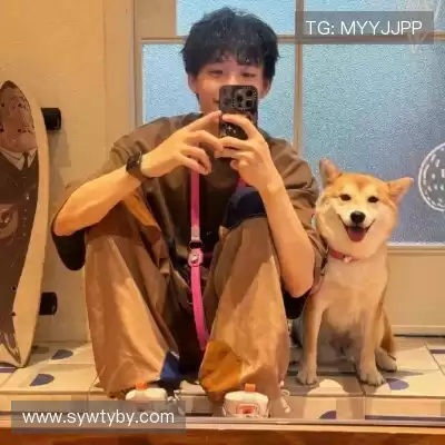 皮蝶研